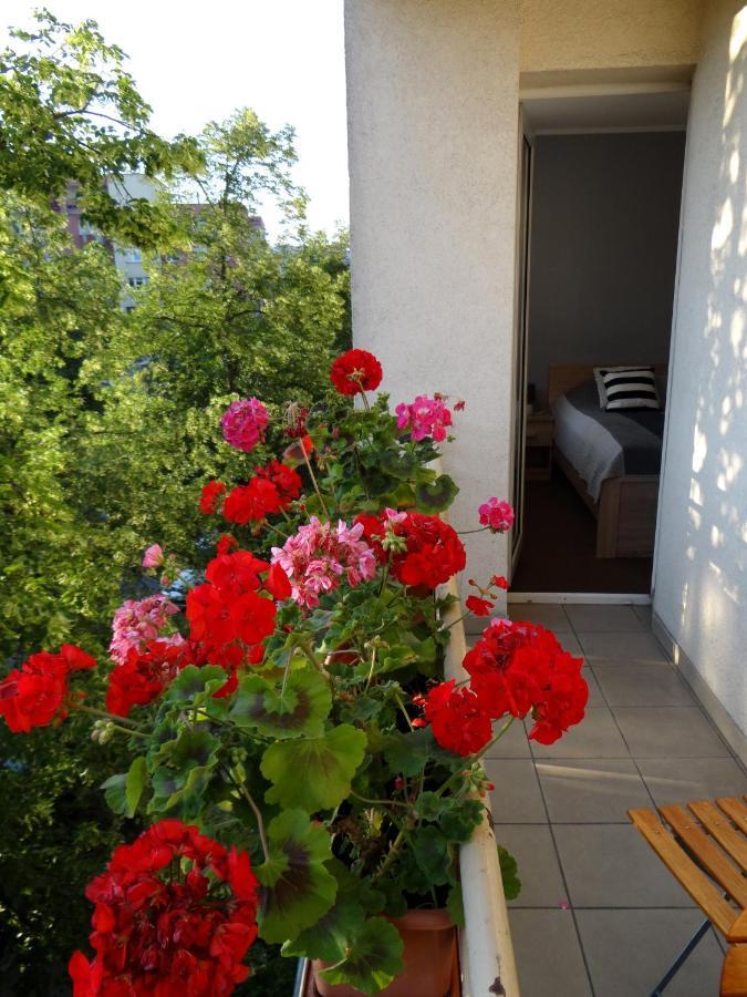 דירות פוזנן Apartament Regina מראה חיצוני תמונה
